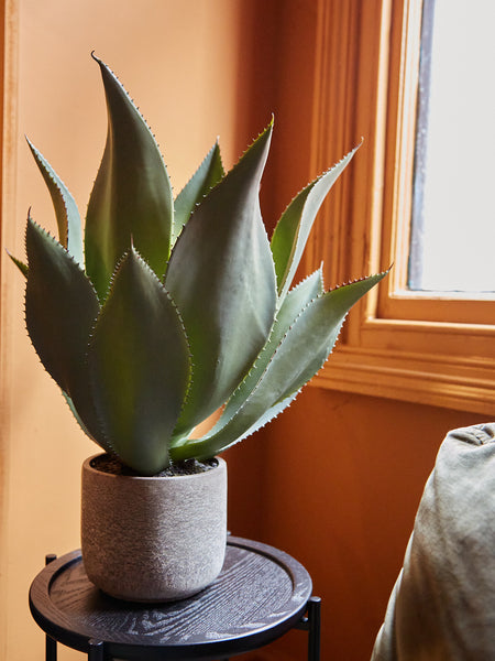 lilliandaph Faux Green Aloe Vera Plant In Clay Style Pot