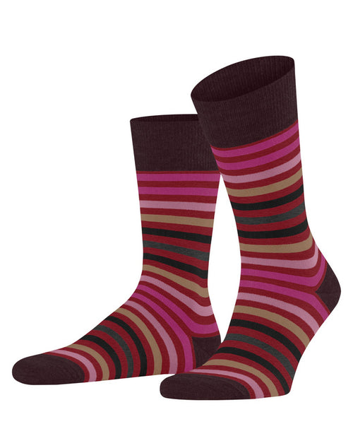 Ingle Tinted Stripe Socks