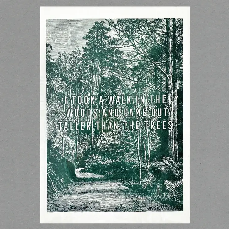 Walk In The Woods A3 Print