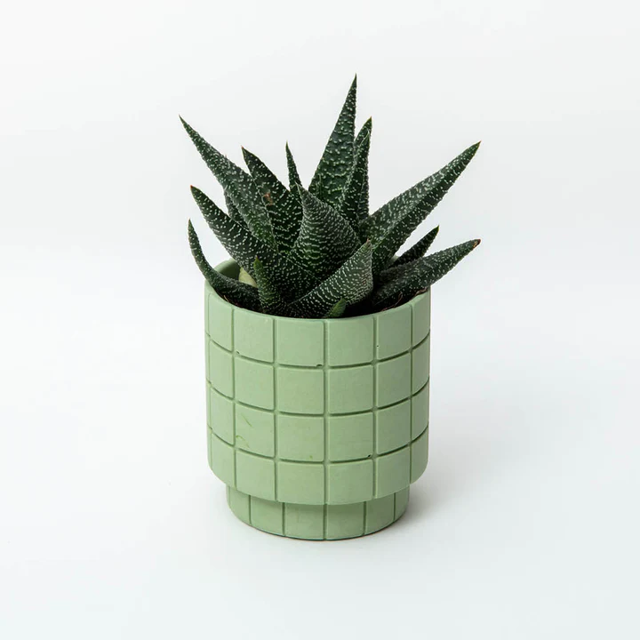 Block Design Tile Plant Pot