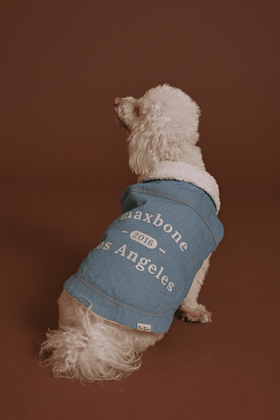 X Fred Segal Denim Dog Coat