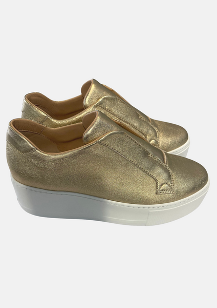 Sibley Trainer Gold