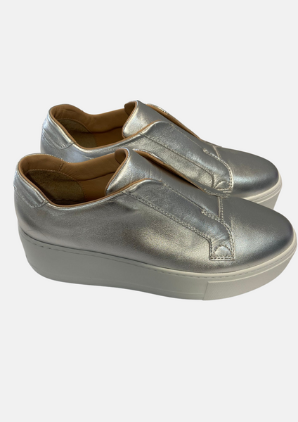 Sibley Trainer Silver