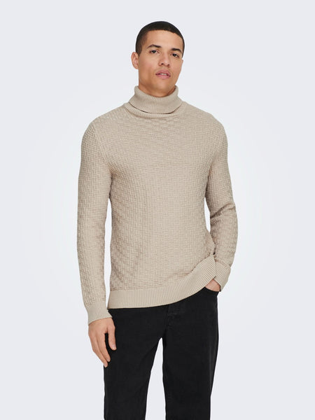 Only & Sons Kay Reg Roll Neck Knit