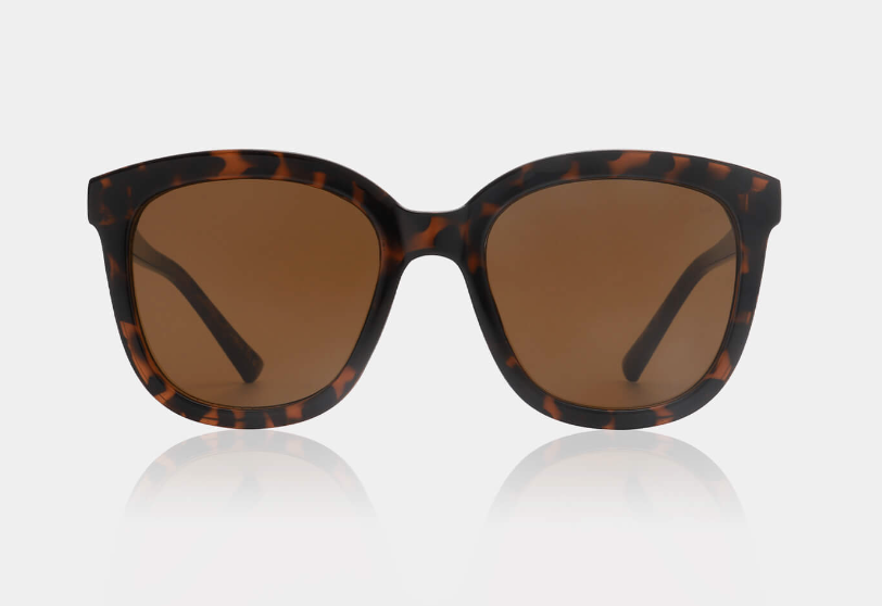 Demi Tortoise Billy Sunglasses