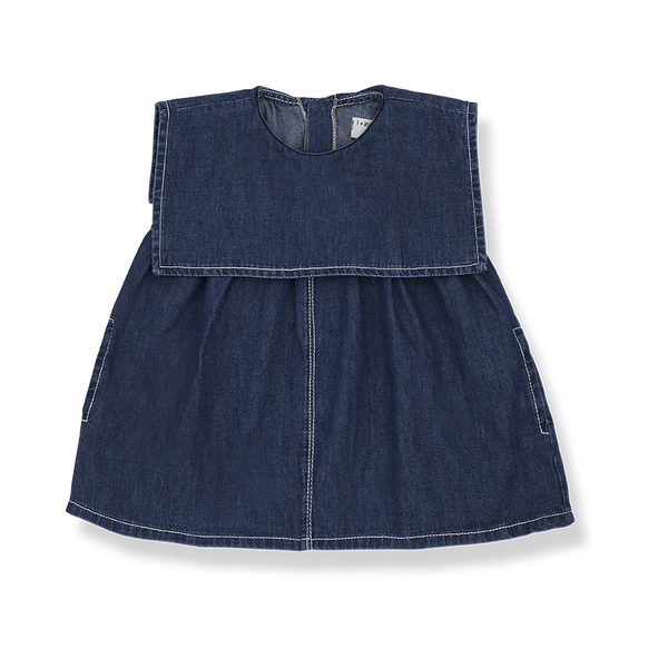 Violet Denim Dress With Bib Collar