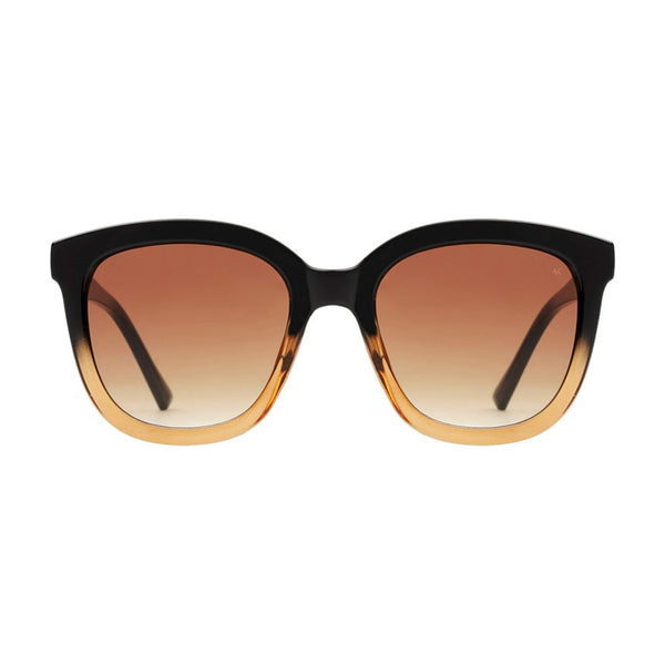 Billy Black Brown Transparent Sunglasses