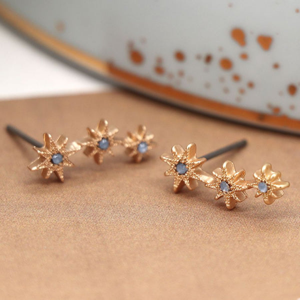 Golden Embossed Star And Blue Crystal Stud Earrings