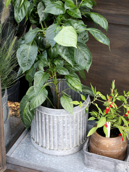 Antique Zinc Plant Pot With Grooves