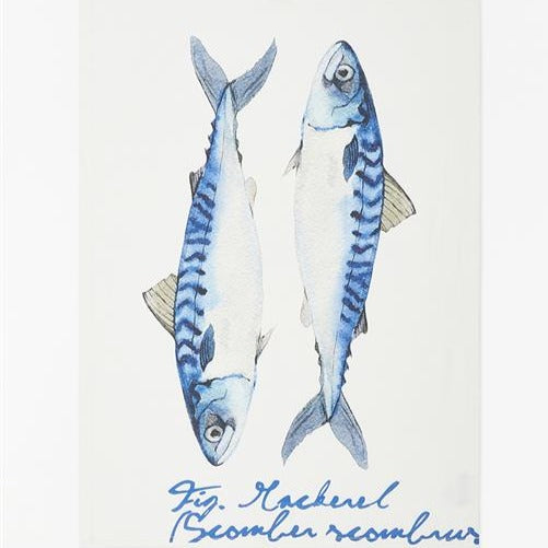 Mackrel Tea Towel