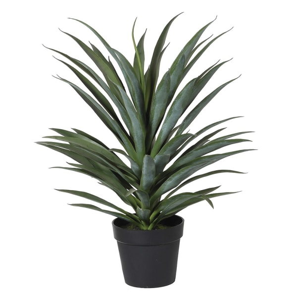 Faux Potted Yucca