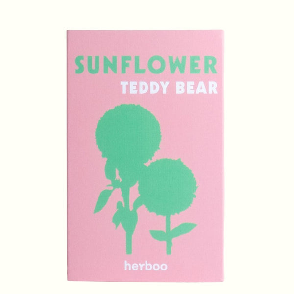 Sunflower Seeds Teddy Bear