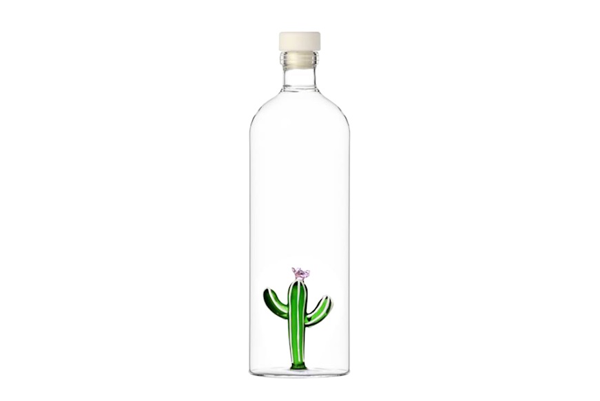 Green Cactus Desert Plant Bottle