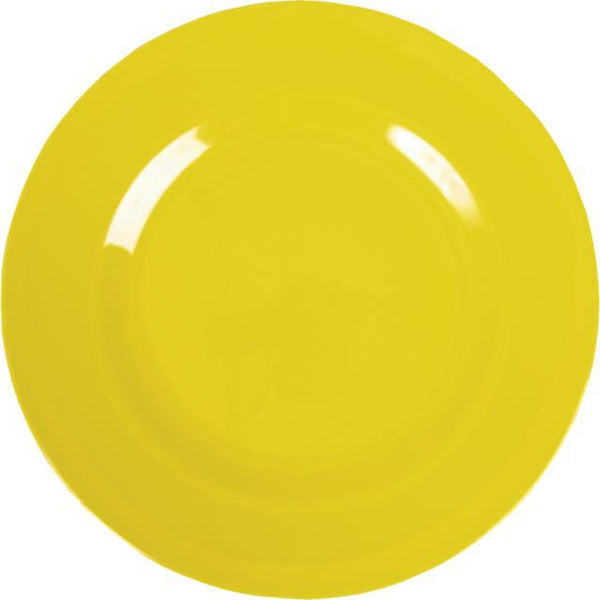 Asorted Colours Melamine Dinner Plate