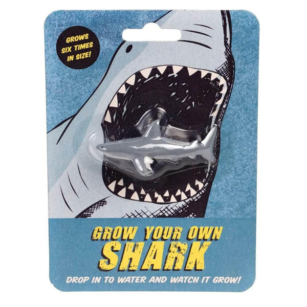 Grow Your Own Shark Toy