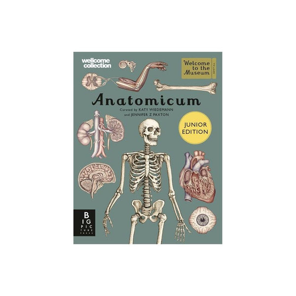 Anatomicum Junior Edition Book by Jennifer Z Paxton and Katy Wiedemann