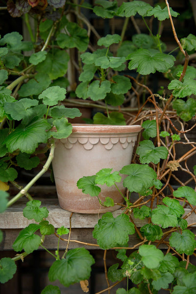 The Castle Pot and Saucer - 21 Cm