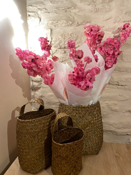 Dried Bougainvillea Pink