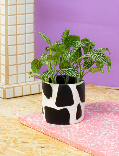 - Cow Print Plant Pot