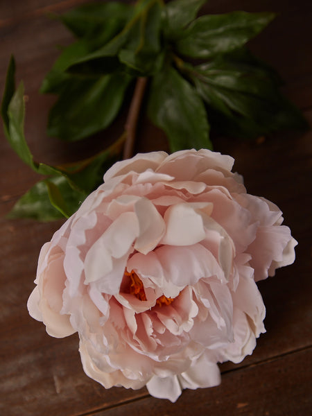 Faux Real Touch Blush Peony