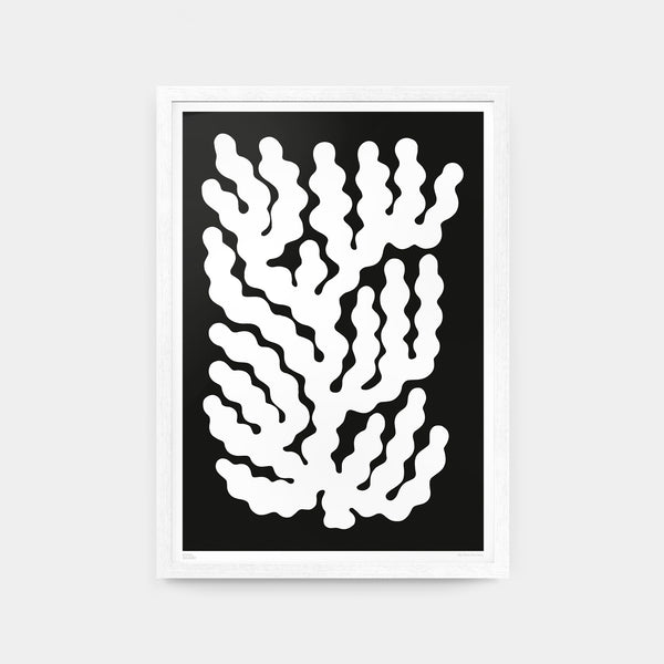 Nico De Caro A1 Coral #009 White Print