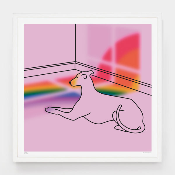 Small Rainbow By The Greyhound Print