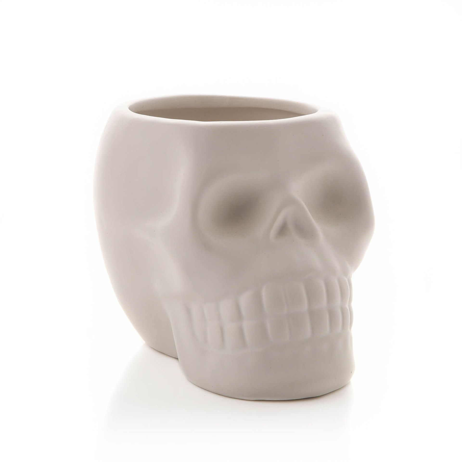 White Skull Plant Pot