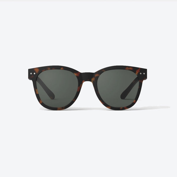 Style n Tortoise Sunglasses