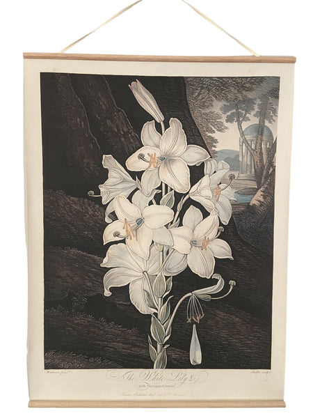 Window Dressing The Soul Canvas Wall Hanging - The White Lily