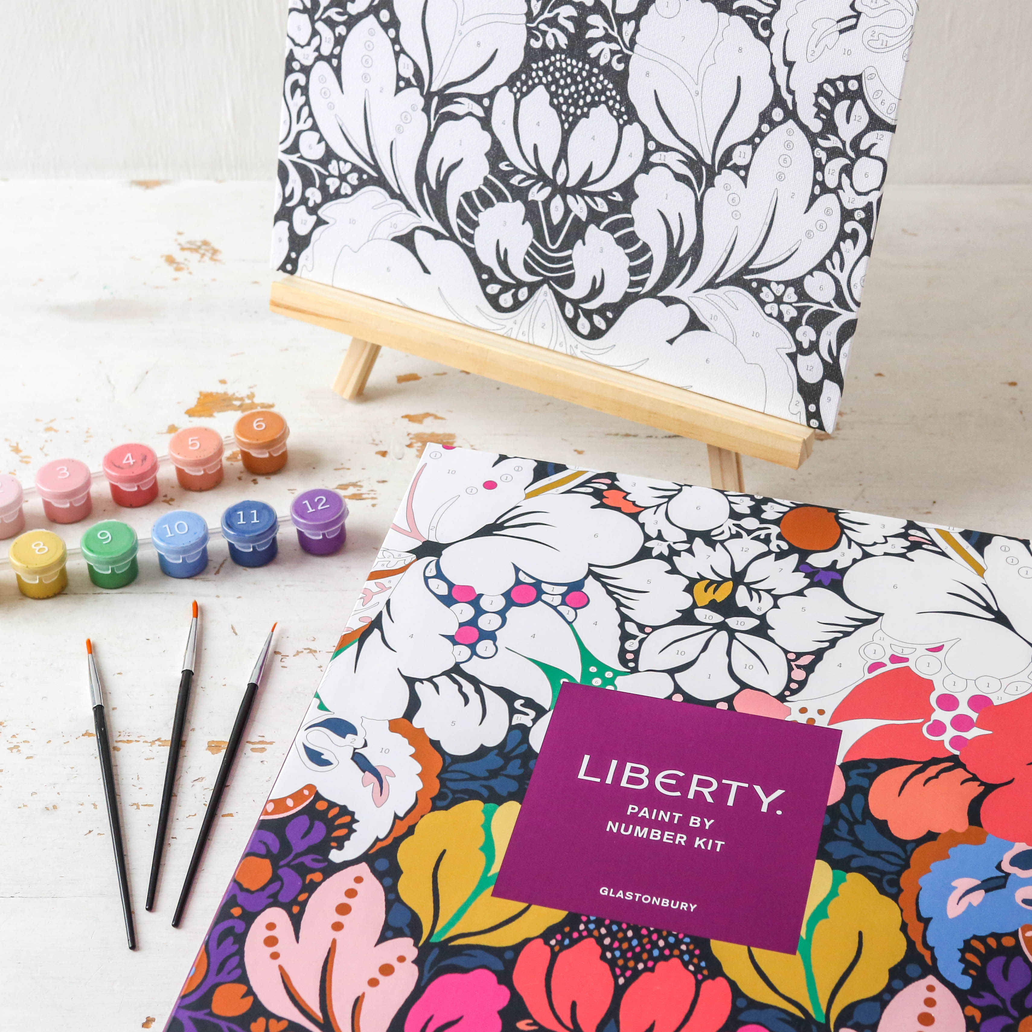 Galison - Liberty Paint by Number Kit - Glastonbury