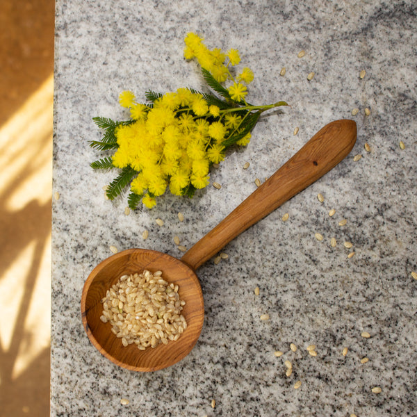 Olive Wood Medium Serving Spoon