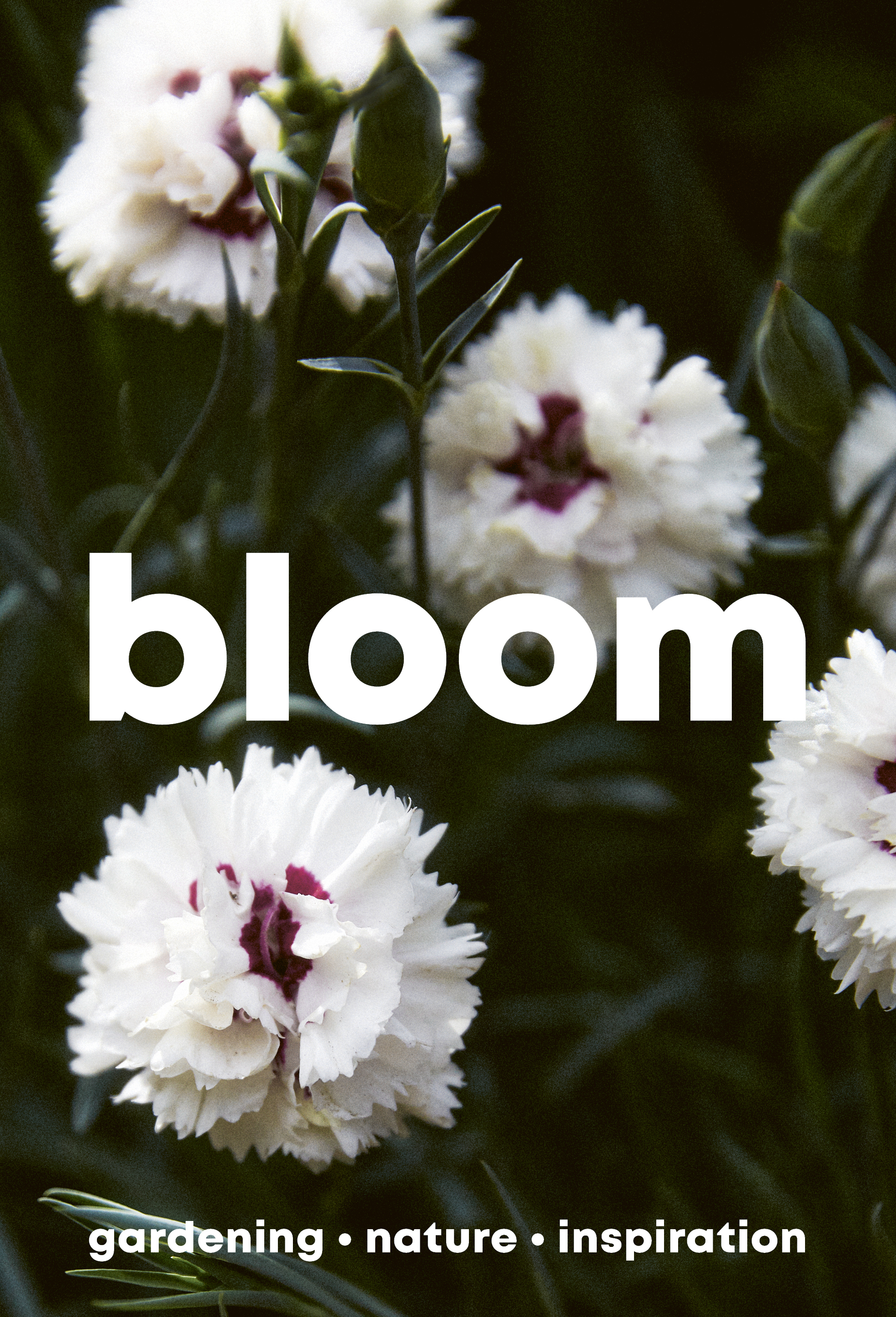 Bloom Magazine - Issue 14 (spring/summer)