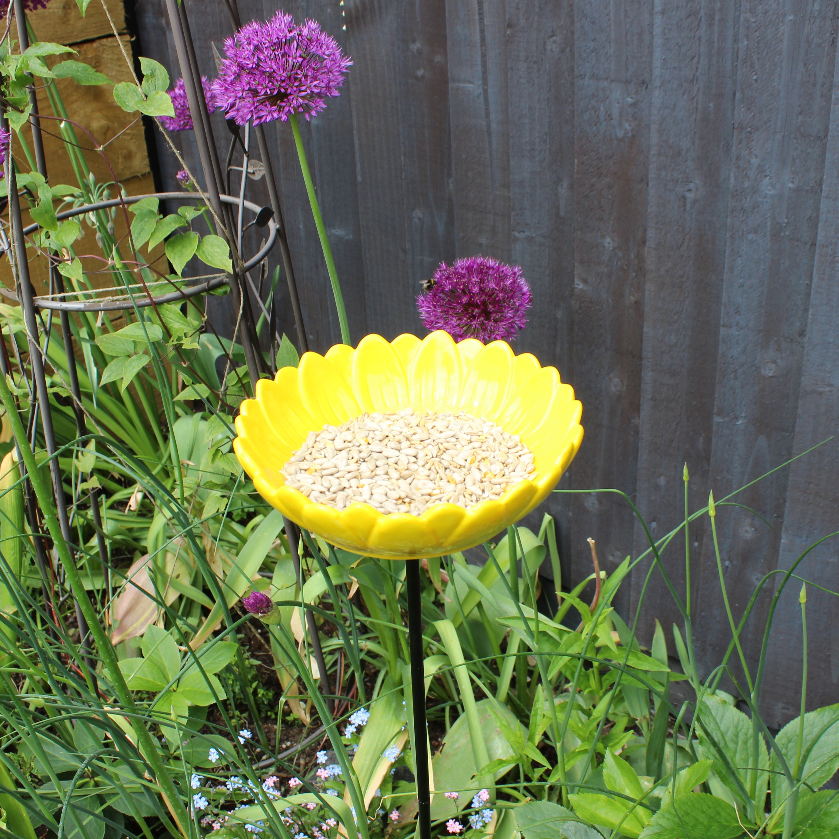 Sunflower Bird Feeder