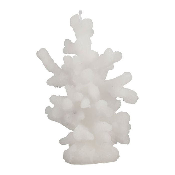 Distinctly Living White Coral Candle