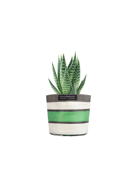 British Colour Standard Recycled Plant Holder - Grass Green