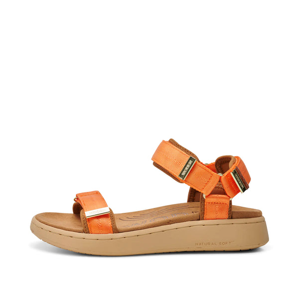 Line Sandals - Tiger