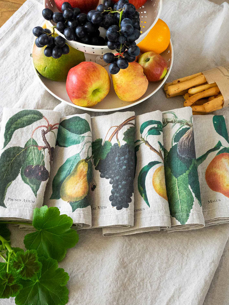 Fruits Napkin Set In Natural