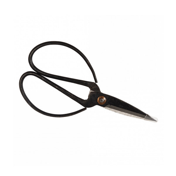 Garden Scissors Metal