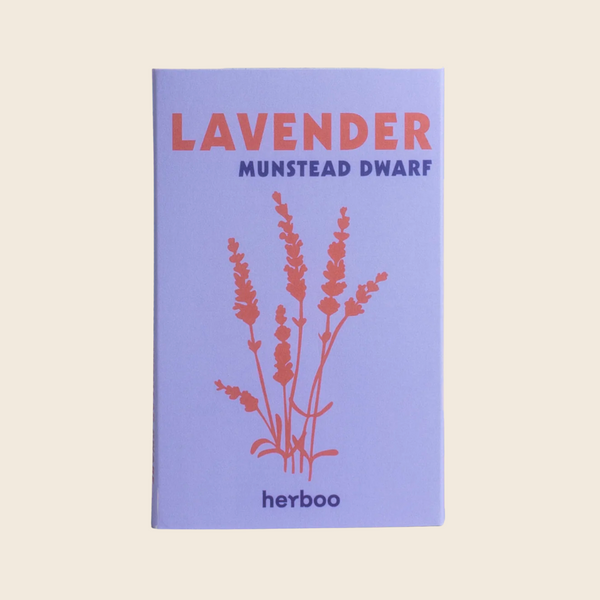 Lavender Seed Packet - Munstead Dwarf Variety