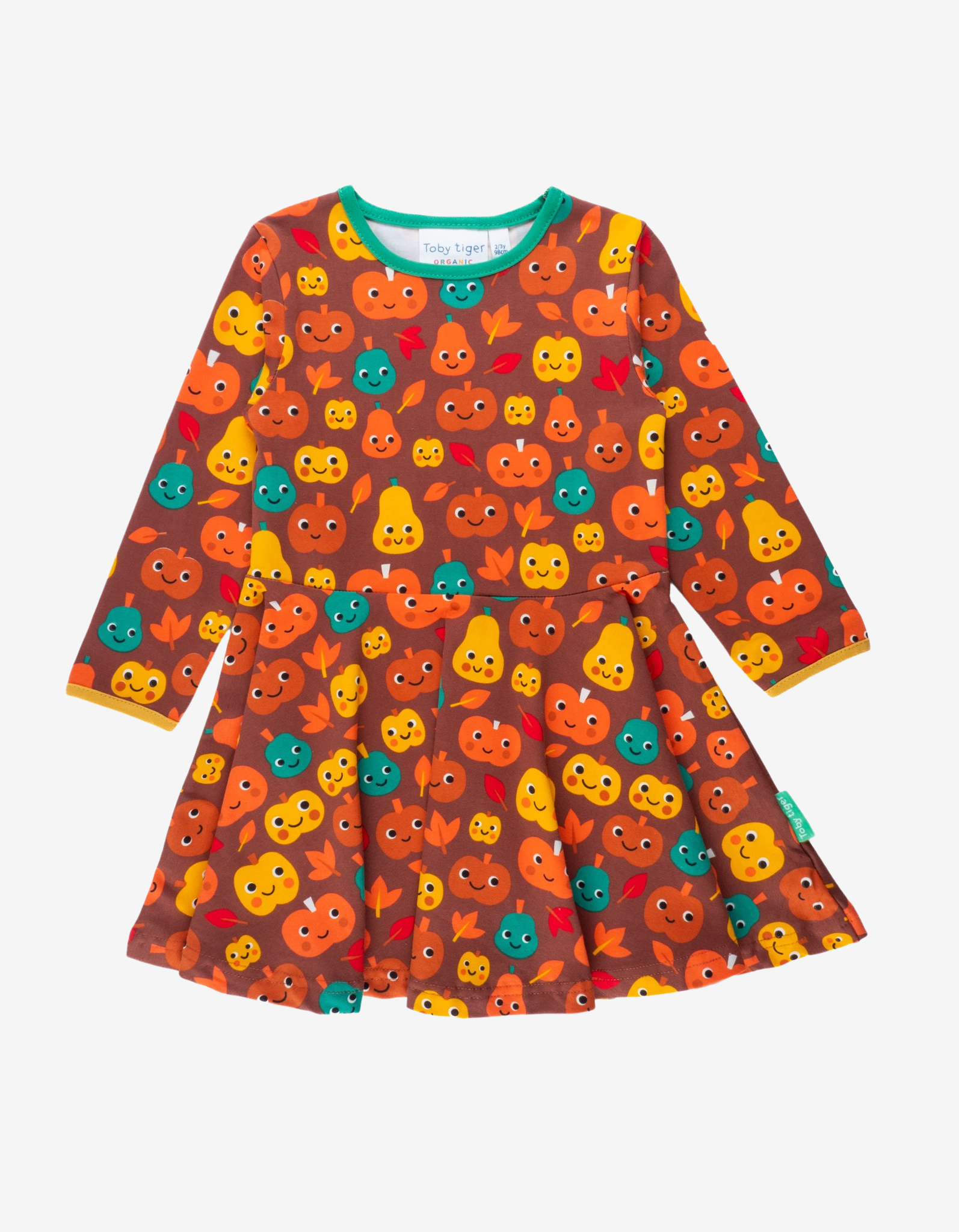 Organic Pumpkin Printed Long Sleeved Skater Dress