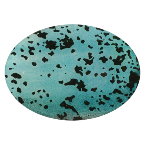 Teal And Black Speckled Egg Plate