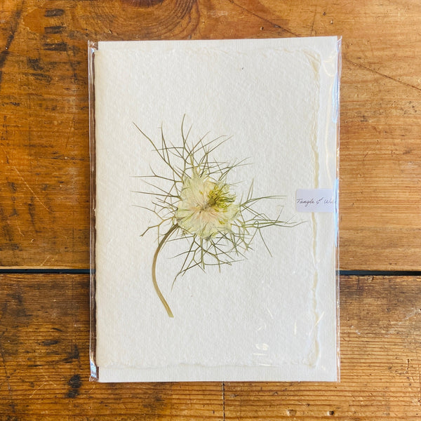 Nigella Dried Flower Card