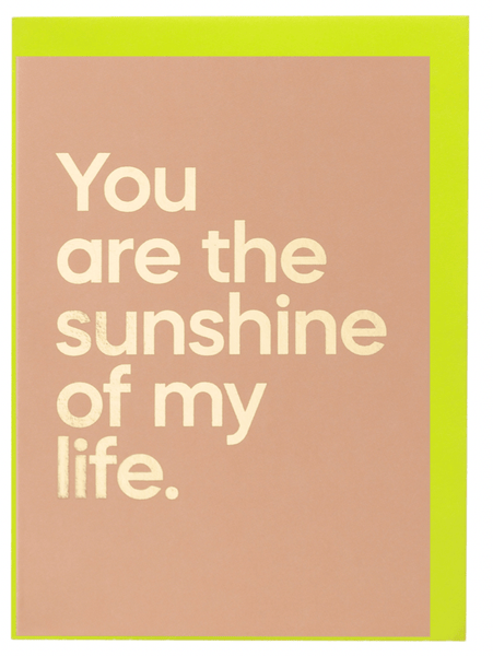 Say It With Songs You Are The Sunshine of My Life By Stevie Wonder Fawn Greeting Card