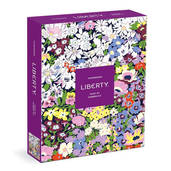 Galison Paint By Numbers Kit Liberty Thopreness