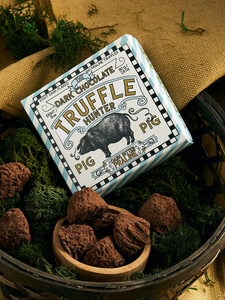 Chocolate Truffle Pig