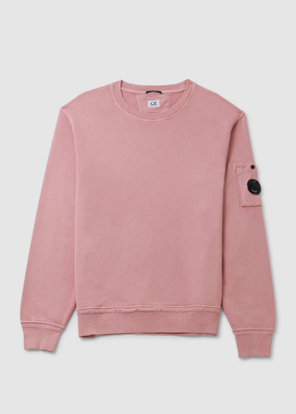 Men's Cotton Fleece Resist Dyed Sweatshirt In Pale Mauve