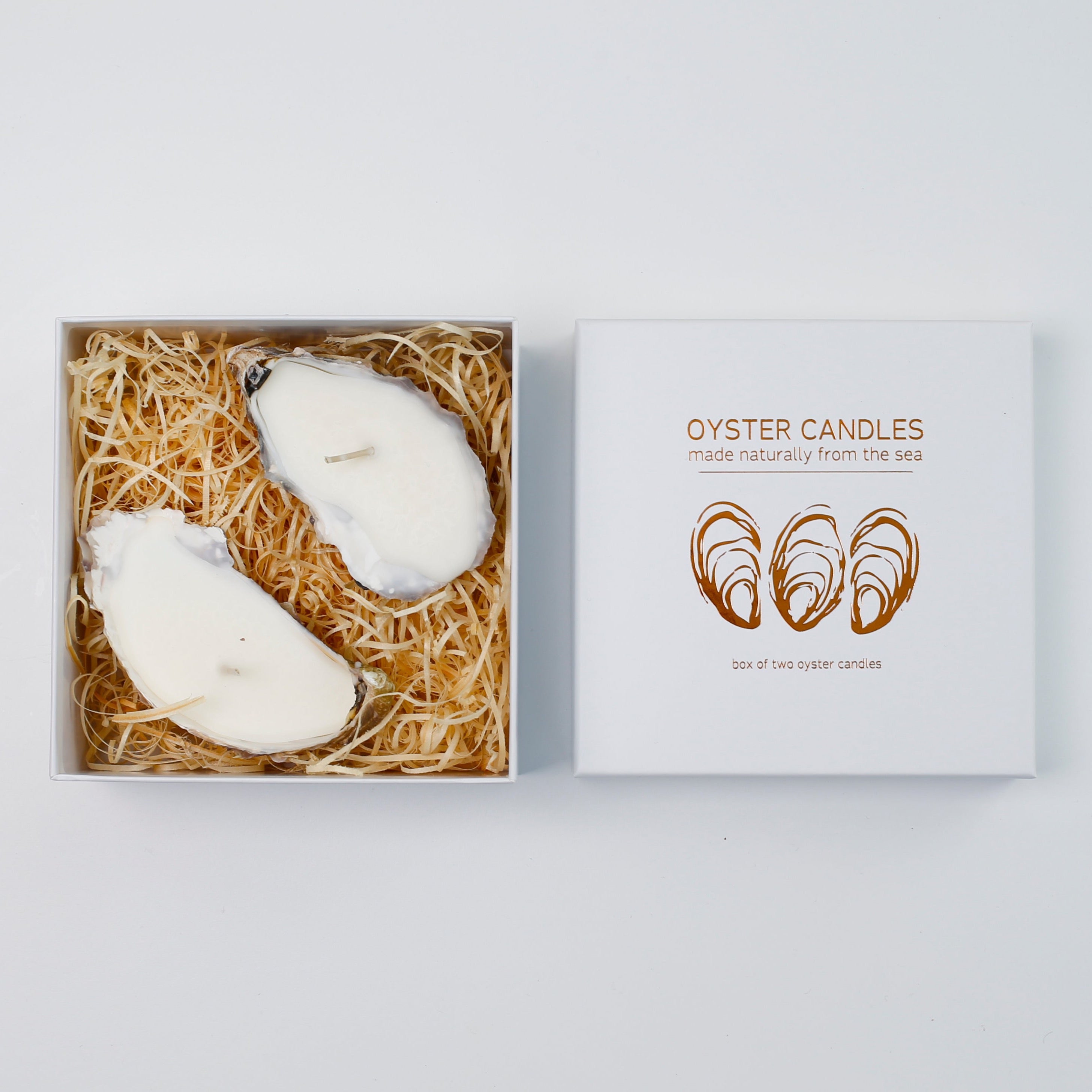 Oyster Candle Gift Box