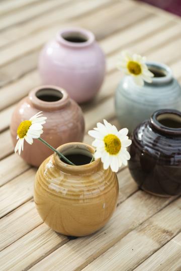 Mini Coloured Vase With Crackled Surface