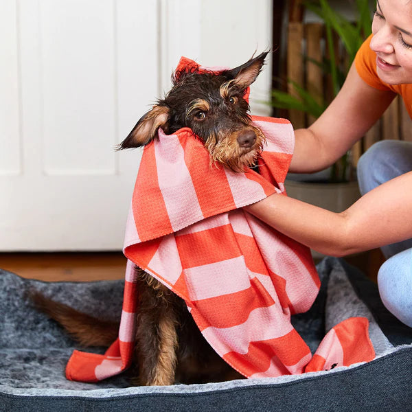 New! Dog & Bay Dog Towels