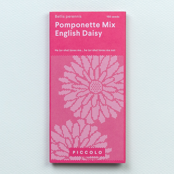 English Daisy Pomponette Mix Seeds